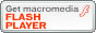 FlashPlayer�̃_�E�����[�h����