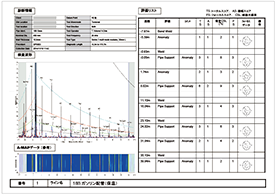 haikan_sindan01_report03