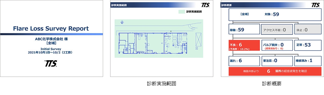 フレアロスサーベイの診断レポーㇳ